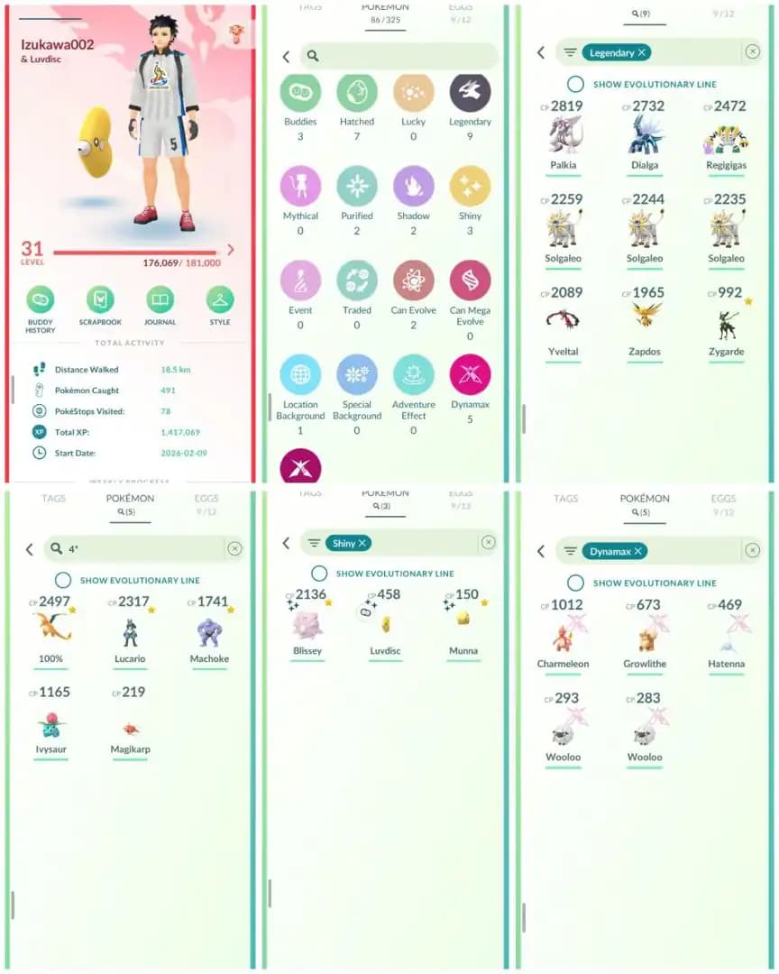 R148 | Level31 | 9 Legendary | 3 Shiny | Hundo Lucario | Shiny Munna | Hundo Charizard | Solgaleo | Zapdos | Dailga | Mini Account