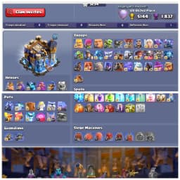 TH18 Premium Max 👑 XP 264 👑 Mostly Max Account 👑 19 Hero Skins 👑 Fully Stacked 👑 All 15 Epic Equipments 👑 5 Epics Max 👑 Instant Delivery