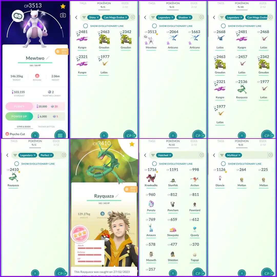 STACKED 2022 CREATION 🔥 6 Shiny Legendary 🔥 Name Changeable 🔥 Hundo Legend Rayquaza 🔥 Shadow Legend Mewtwo 🔥
