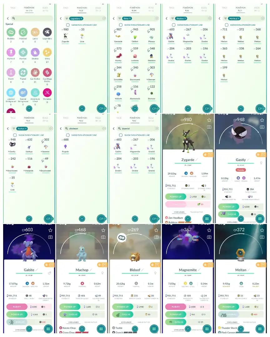 🛡️ LEVEL 47 INSTINCT TEAM 🛡️ LEGENDARY ZYGARDE 🛡️ 14 SHINY 🛡️ 6 SHADOW 🛡️ 7 MYTHICAL 🛡️ 7 PERFECT IV 100 🛡️ ULTRABEAST POIPOLE 🛡️