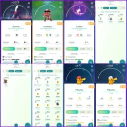 💎 LEVEL 62 RARE 2016 OG BEAST 💎 441 SHINY 💎 180 LEGENDARY 💎 19 SHINY LEGENDARY 💎 PRIMAL GROUDON 💎 PRIMAL KYOGRE 💎 2 ARMOURED MEWTWO 💎