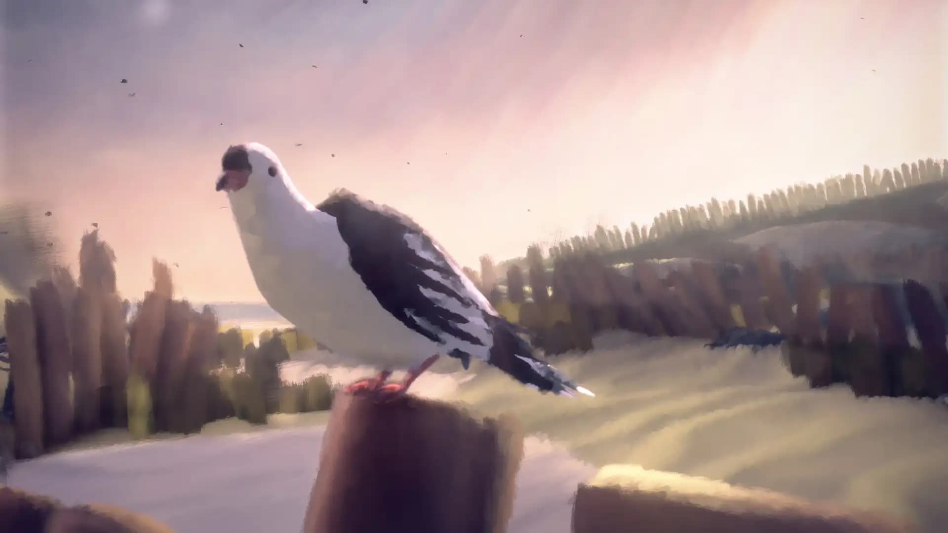 11-11 Memories Retold media 4