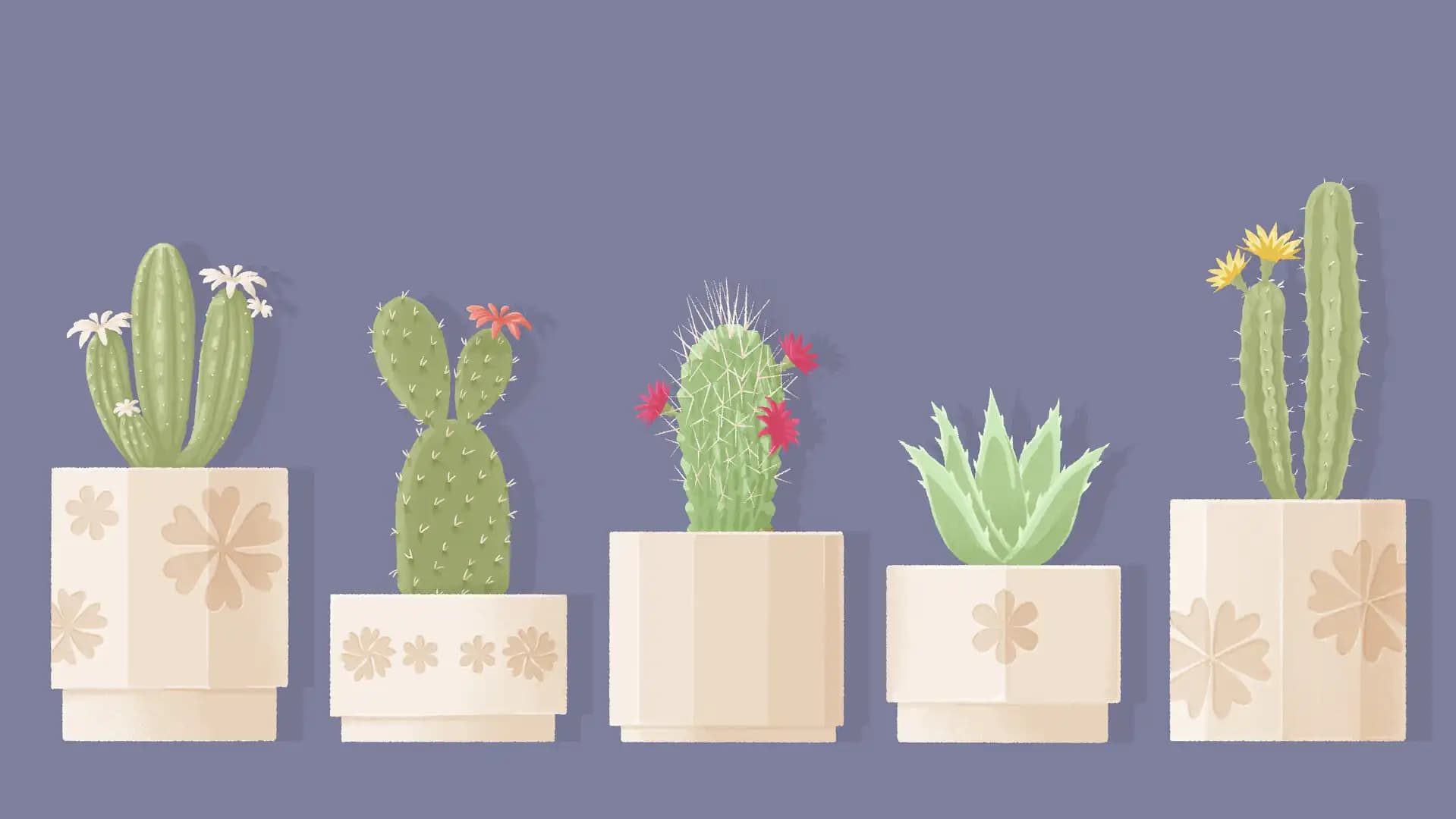 A Little to the Left: Seeing Stars media 4