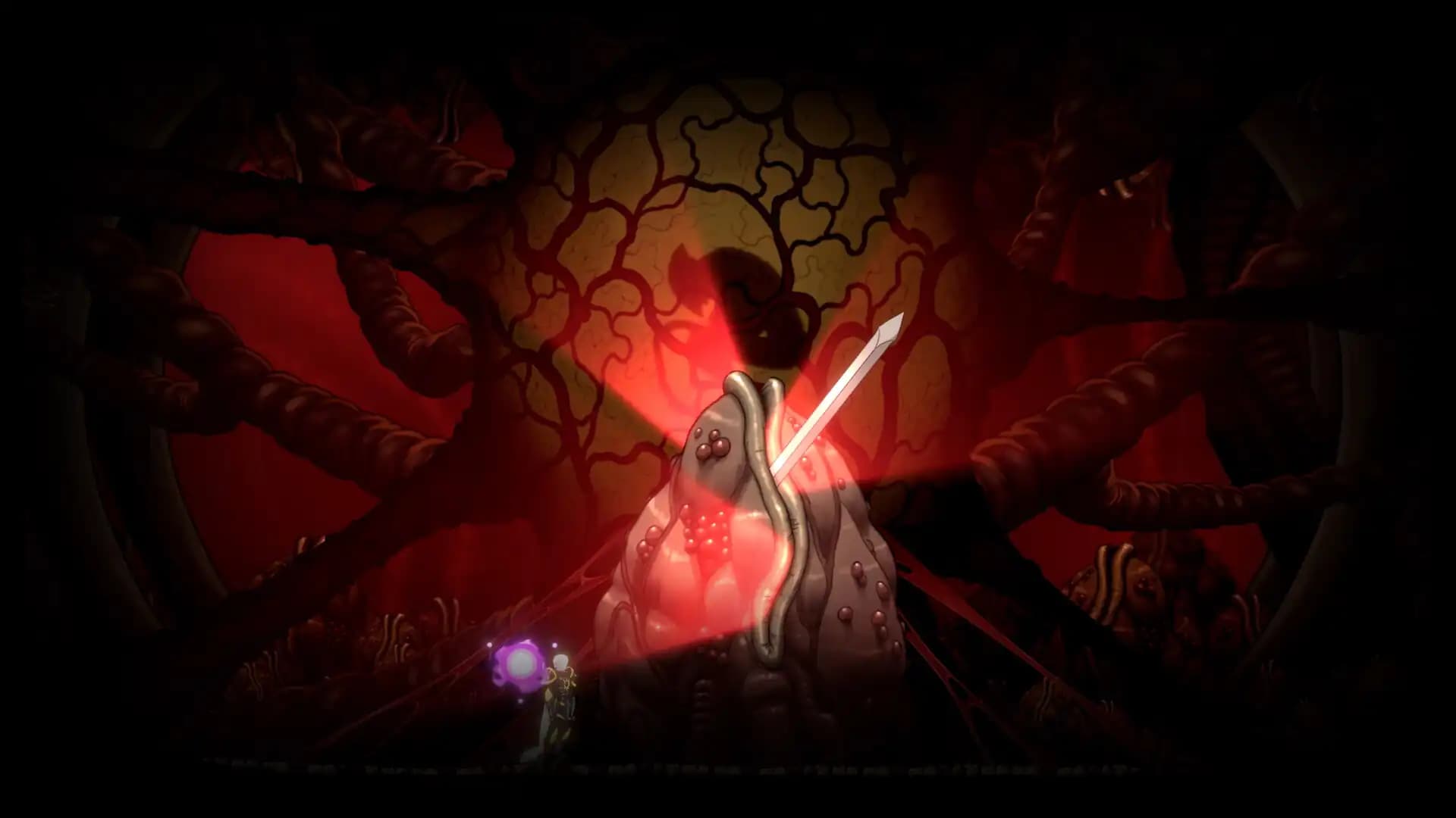 Aeterna Noctis media 5